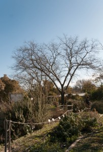 Foto Tommaso Antinori   