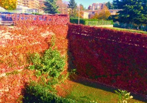 Foto Luca Amedeo Liguori 2 